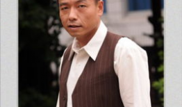 王挺主演的电视剧大全,激情岁月，英雄本色