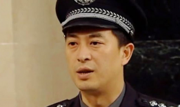 公安局长任维国电视剧,铁血公安局长传奇