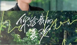 在那遥远的地方电视剧剧情介绍,探寻西部风情与民族情怀的传奇之旅