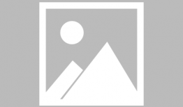 工口动漫在线,工口动漫的奇幻世界