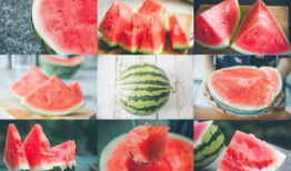 长沙吃瓜爆料最火新娘,吃瓜爆料中的璀璨焦点